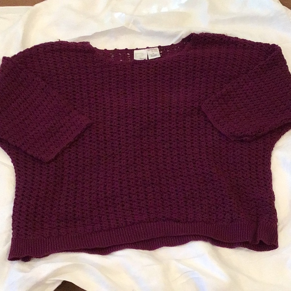 Roamans Plum Colored Sweater Size 1X